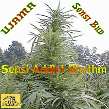 Various Artists - Sensi Bud