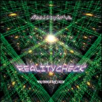RealityGrid - Reality Check