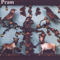 Pram - The Museum of Imaginary Animals