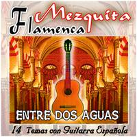 Varios guitarristas flamencos - Mezquita Flamenca: Entre dos aguas.14 temas de guitarra española flamenco
