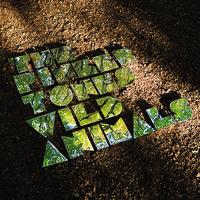 The Pinker Tones - Wild Animals