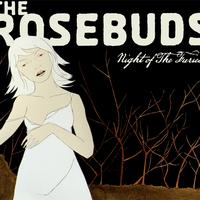 The Rosebuds - The Night of The Furies