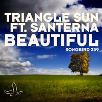 Triangle Sun - Beautiful