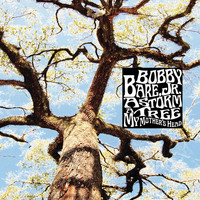 Bobby Bare Jr. - A Storm - A Tree - My Mother's Head