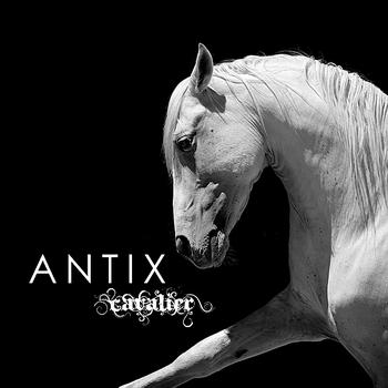Antix - Cavalier