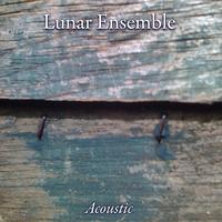 Lunar Ensemble - Lunar Ensemble Acoustic Music @ the Nuyorican Poets Café 7/23/09