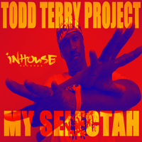 Todd Terry Project - Todd Terry Project - My Selectah