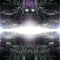 RealityGrid - Another Reality