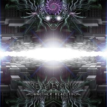 RealityGrid - Another Reality