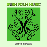 Steve Benbow - Irish Folk Music