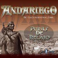Andariego - Puras De Relajo