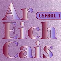 Amrywiol / Various Artists - Ar Eich Cais