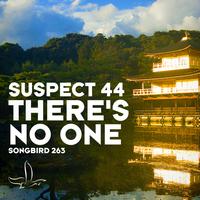Suspect 44 - There's No One