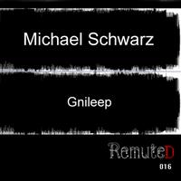 Michael Schwarz - Gnileep