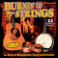Red Smiley & The Bluegrass Cut-Ups - Sound Traditions: Burnin' Up The Strings