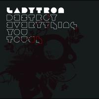 Ladytron - Destroy Everything You Touch (Tom Neville Grubby Remix)