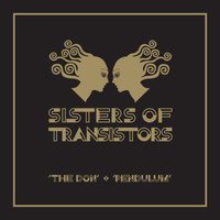 Sisters Of Transistors - The Don