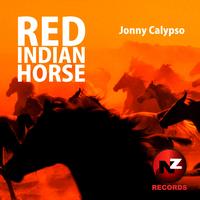 Jonny Calypso - Red Indian Horse