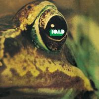 Toad - Toad