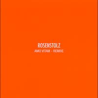 Rosenstolz - Amo Vitam - Remixe