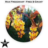 Max Freegrant - Free & Grant