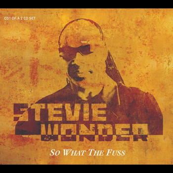 Stevie Wonder - So What The Fuss Global Soul Remix (UK Napster Exclusive)