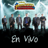 Conjunto Primavera - En Vivo (Live Chihuahua, México/2008)