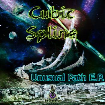Cubic Spline - Unusual Path