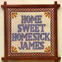 Homesick James - Home Sweet Homesick James