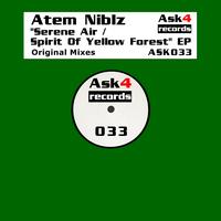 Atem Niblz - Serene Air / Spirit Of Yellow Forest