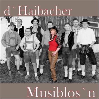 D' Haibacher Musiblos'n - Bayern modern