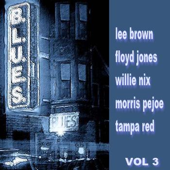 Various Artists - The Blues  Volume 3