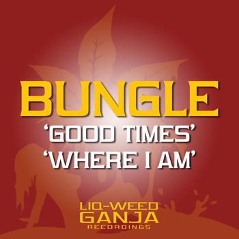 Bungle - Good Times / Where Am I