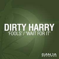 Dirty Harry - Fools / Wait For It