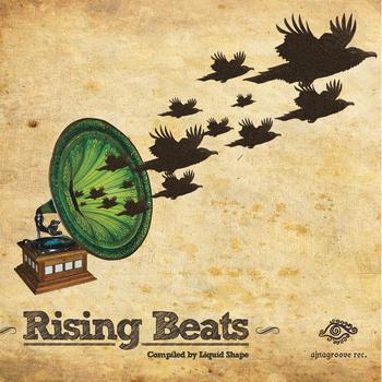 Various Artists - Rising Beats