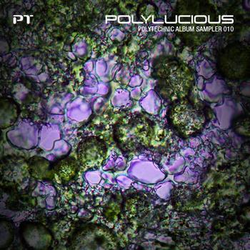 Various Artists - Polylucious - Polytechnic Album Sampler 010
