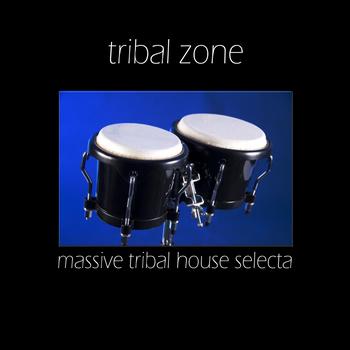 Various Artists - Tribal Zone