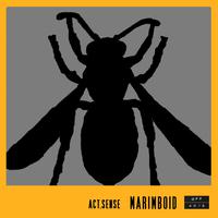 act. sense - Marimboid EP