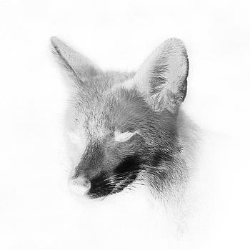 Gregorythme - short series #1