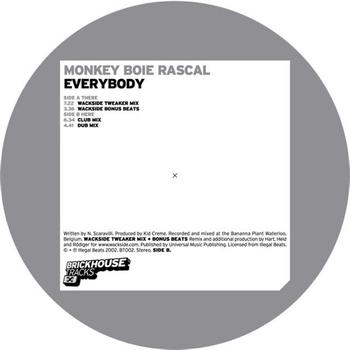 Monkey Boie Rascal - Everybody