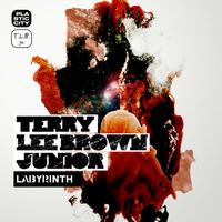 Terry Lee Brown Junior - Labyrinth