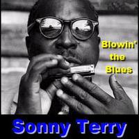 Sonny Terry - Blowing The Blues