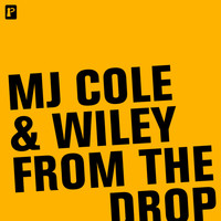 MJ Cole & Wiley - From The Drop