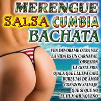 The Salsa Stars - Salsa-Merengue-Bachata-Cumbia