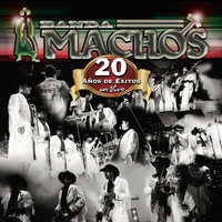 Banda Machos - 20 Años De Exitos En Vivo