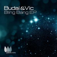 Budai & Vic - Bling Bang EP