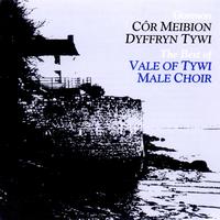 Cor Meibion Dyffryn Tywi Male Voice Choir - Goreuon Cor Meibion Dyffryn Tywi / The Very Best Of Dyffryn Tywi Male Choir