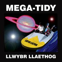 Llwybr Llaethog - Mega Tidy