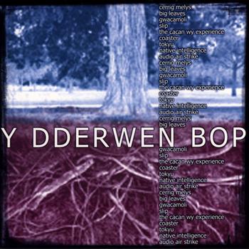 Amrywiol / Various Artists - Y Dderwen Bop