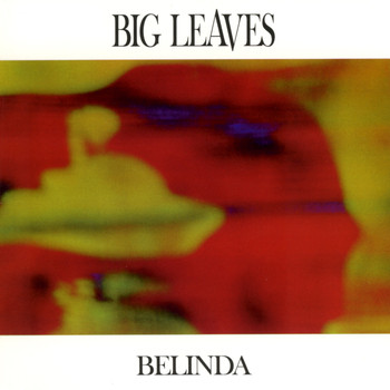 big leaves - Belinda
